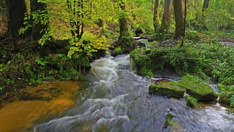 Wnioski legislacyjne wynikające z wykonania i realizacji ekspertyz autorstwa mgr inż. Józefa Jeleńskiego i dr Pawła Mikusia